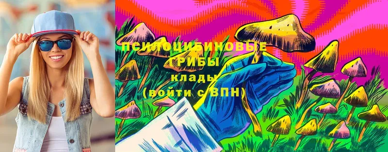 ссылка на мегу зеркало  Ак-Довурак  Псилоцибиновые грибы Magic Shrooms 